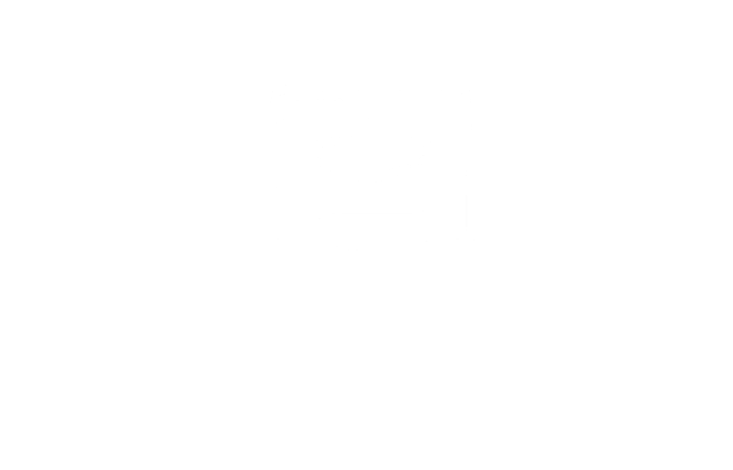 campaigns icon